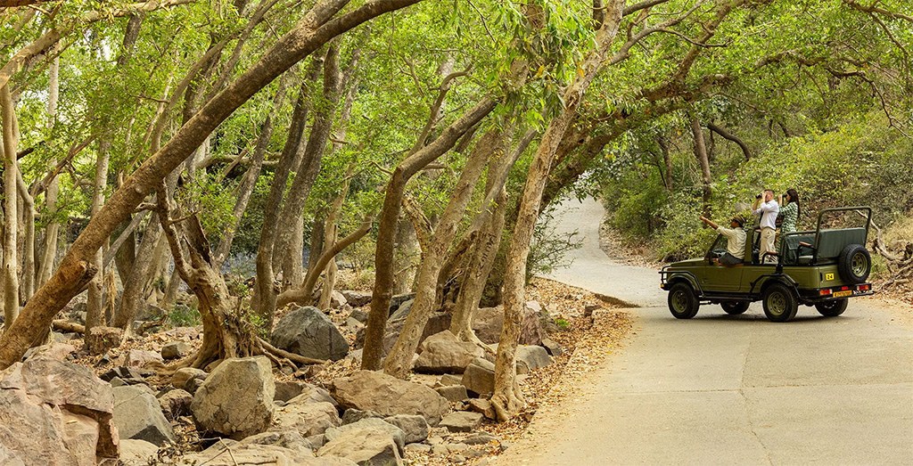 WEDDING AT JW Marriott Ranthambore