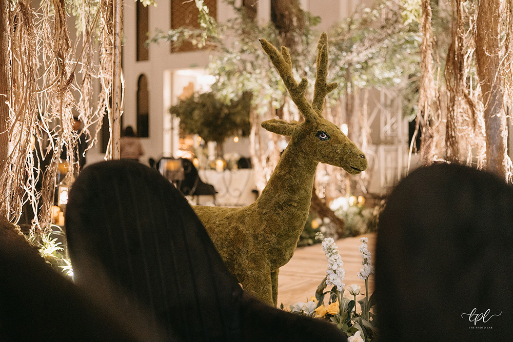 IWP - Indian Wedding Planners